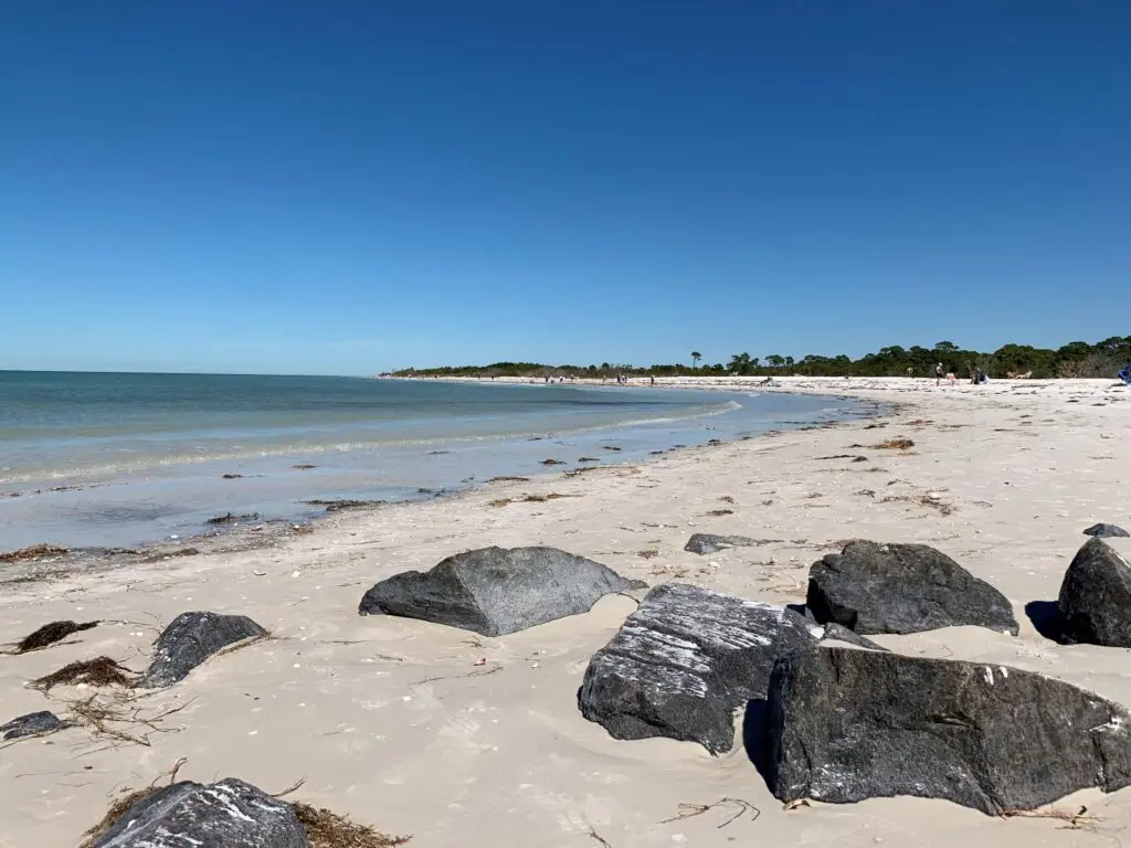 Honeymoon Island, on of the great Florida beaches