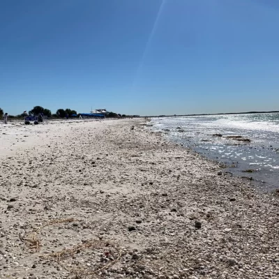 The beach at Honeymoon Island