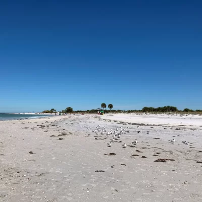 The beach at Honeymoon Island