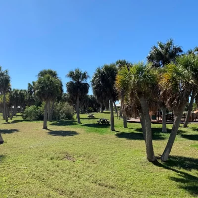 Honeymoon Island in Dunedin Florida