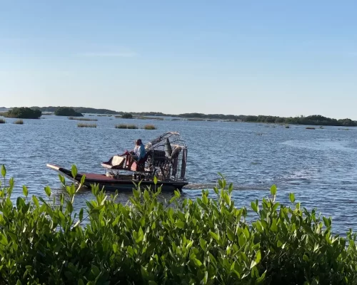 Airboats in Cedar Key Florida