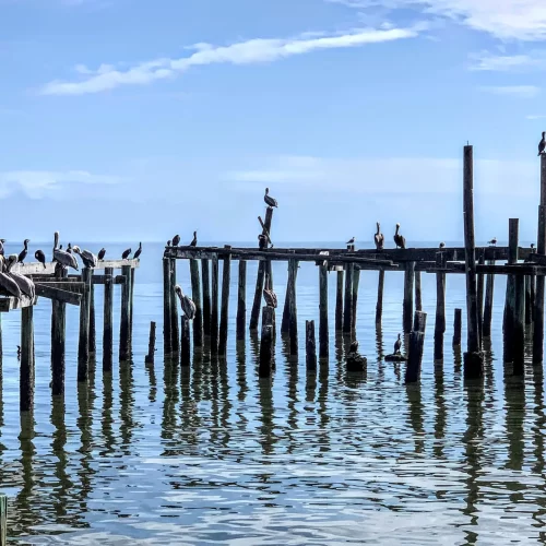 Cedar Key Florida