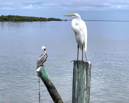 Cedar Key Florida