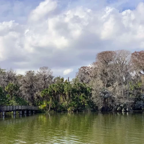 Palm Island Park Mount Dora Florida