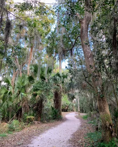 Palm Island Park Mount Dora Florida