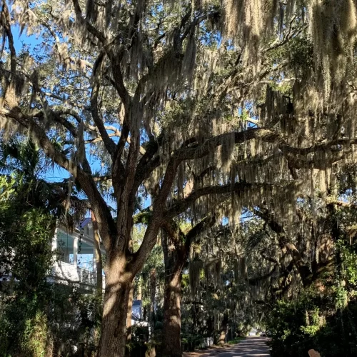 Tours Beaufort South Carolina